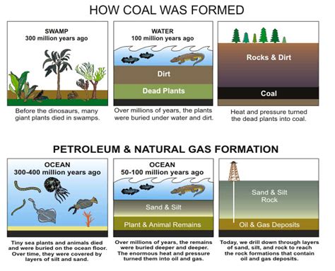 fossil fuel origin